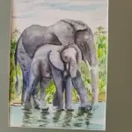Elephant Canvas Wall Art