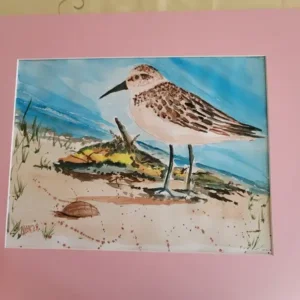 Bird Canvas Wall Art For Sale