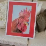 THE ROOSTER