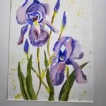 Two Iris